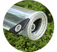 ZXCVASDF 0.35mm Lona Transparente, Lona de PVC Impermeable con Ojales, Toldos Plastico, Resistente al Agua sin Bloquear la luz, para Techo, Camping, Exterior, Personalizable,3x3.5m/9.8x11.4ft
