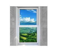 ZXFDMSWJ Ventanas de ventilación de Repuesto, Grandes Ventanas corredizas Verticales con Cerradura, para cobertizos, gallineros, invernaderos y restaurantes (30 x 80 cm)