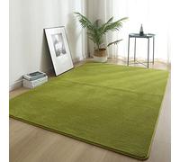 ZXGGASG Green Soft Fluffy Rug for Bedroom and Living Room Non Slip Polyester Area Carpet Shag Short Pile 63x91in