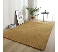 ZXGGASG Khaki Area 140x200cm Soft Fluffy Carpet for Bedroom and Living Room Non Slip Polyester Shag Rug with Short Pile