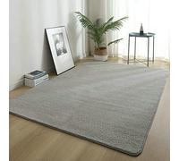 ZXGGASG Solid Color Shag Area for Bedroom and Living Room Soft Comfy Non Slip Polyester Carpet Fluffy Rug (Gray 100x200cm)