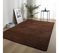 ZXGGASG Super Soft Brown Shag Area Rug for Bedroom and Living Room 120x200cm