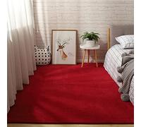 ZXGGASG Super Soft Solid Color for Bedroom Living Room Indoor Area Carpet Non Slip Shag Short Pile Fluffy Polyester Rug W Red 120x200cm