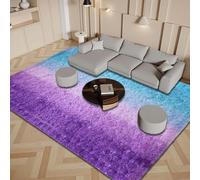 ZXIAOHUI Alfombra Grande Salon 190 x 260 cm Antideslizante, Fluffy, Muy Suave, No Se Desprenden, Lavable hasta 30 Grados, Pelo Largo Alfombra, Alfombras Grandes, Adecuado para Interiores, E