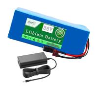 ZXLLAFT Batería de Iones de Litio de 36 V (8 Ah, 10 Ah, 12 Ah, 15 Ah, 18 Ah, 20 Ah, 25 Ah y 30 Ah) con Cargador para Motor de 0 a 1100 W.,36v20ah(1)
