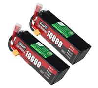 ZXLLAFT Batería para Dron 6S 22.2V Batería de Litio Baterías Lipo Baterías de Repuesto para Modelo avión, Buggy eléctrico, energía Respaldo Tablero BMS Integrado,22.2v10ah 60c 2pack
