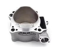 ZXYIWSDF Pistón de Cilindro Compatible con TRX450ER 2006 2007 2008 2009 2010 2011 2012 2013 2014 12100-HP1-600 12100-HP1-601 Piezas del Motor Cilindro Bloque De Diámetro Interior De 96 Mm