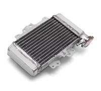 ZXYIWSDF Radiador de Motocicleta Compatible con PES125 para Inyección 2006-2010 para SH125 para Inyección 2005 2006 2007 2008 2009-2012 Radiador De Refrigeración Enfriador De Agua Aluminio