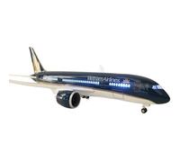 ZYAURA Imagen Ambiental para: Vietnam Airlines B787 Avión de Metal con LED controlado por Voz Modelo 46 cm Coleccionables de aviación