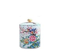 ZYAYNG Caddy de té cerámica Vintage, tarro almacenamiento portátil viaje hermético, recipiente cocina esmaltado colorido, contenedores alimentos Para Café(Color 2,S)