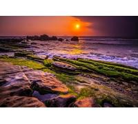 ZYHDK - 2000 Piezas - Rompecabezas Difíciles - Regalos - Fotos - Sunrises by The Seas - Divertidos Rompecabezas para Adultos Y Adolescentes - Juguete De Descompresión - Gk307Aw