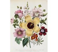 ZYHDK Rompecabezas 1500 Piezas - Fotos - Gifts - Irregular Rompecabezas - Vintage Floral Illustrations - Juguetes Desafiantes Y Divertidos para Toda La Familia -Decoración De Arte Mural - Yw134Kj