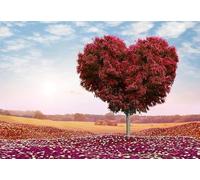 ZYHDK - Rompecabezas de 2000 Piezas - Regalos - Divertido Juguete Personalizado Puzzle Para Adultos - Giving Tree Picture - Inicio Juegos Educativos Puzzle - JP155Aq