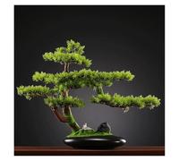 ZYJIX árbol De Bonsai Artificial - Pino Cipress Falso De 16 Pulgadas para La Decoración del Micro -Landscape Decoración De Entrada De Oficina - Planta De Falsa Realista Y Sin Mantenimient