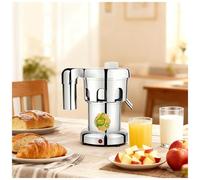 ZYJIX Extractor de jugo comercial, exprimidor eléctrico de cítricos, gran tolva de alimentación, máquina exprimidora centrífuga resistente, extractor de jugo de acero inoxidable con filtro para