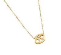 ZYKEJJDDAK Elegante collar de constelaciones de acero con símbolo de letra, collar de doce signos astrológicos, gargantilla de cadena de clavícula, 41cm50cm, acero de titanio, No es una piedra