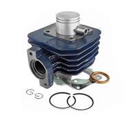 Zylinder Kit komplett Carenzi Sport 50ccm Grauguss für Peugeot Ludix One/Trend/Sanke/Classic/Vivacity 2T ab 2008 / Kisbee 2T