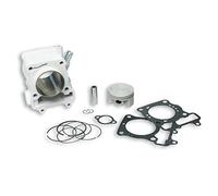 zylinderkit Malossi Des 169 ccm - Scoopy Sh 150I 4T (2005 - 2008)