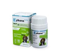 ZYLKENE Plus para Perros medianos (10-30 kg)