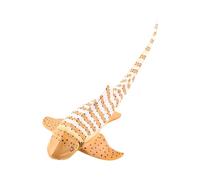 ZYMIADOU Modelo realista de animales de peces para exposiciones de ciencias y aulas, modelo Moray y colección de figuras de animales para niños