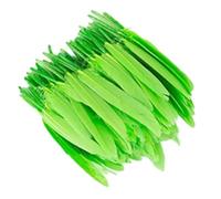 Zymoplas 100 piezas, preciosos accesorios naturales, plumas que no destiñen, manualidades DIY para ropa bohemia salvaje, plumas DIY teñidas delicadas , Verde