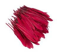 Zymoplas 100 piezas, preciosos accesorios naturales, plumas que no destiñen, manualidades DIY para ropa bohemia salvaje, plumas DIY teñidas delicadas , borgoña