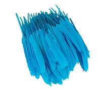 Zymoplas 100 piezas, preciosos accesorios naturales, plumas que no destiñen, manualidades DIY para ropa bohemia salvaje, plumas DIY teñidas delicadas , Cielo azul