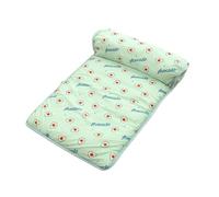 Zymoplas Cojín cómodo y Suave para Mascotas para Perros y Gatos Variedad de Estilos Material de Calidad Suministros para Mascotas Manta para Gatos, Aguacate Verde, Grande: 80X60cm