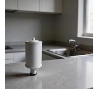 ZYNCUE Cartucho de filtro de carbón activado para eSpring 100186, precisión 0,2, vida útil de 1 año, color blanco