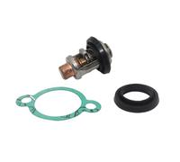 ZYPMoTo 50 ℃ 125 ℉ Termostato de enfriamiento del Conjunto del Motor Fuera de Borde Compatible con de Motor Externo 4 5 6 8 9.9 15 55 75 100 Reemplazo del Mercado de Accesorios
