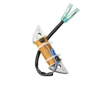 ZYPMoTo Bobina de Carga de 300Ω 63V-85520-00 63V-85520-01 Compatible con Motor de HDX Seatec 2T 9.9HP 15HP