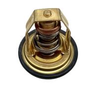 ZYPMoTo Compatible con Penta AQ165 AQ170 BB165 BB170 de Motor Reemplazo del Mercado de Accesorios para el 875791 831040