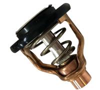 ZYPMoTo Termostato Compatible con de Motor Externo F LF 300 350 A B C para el 6AW-12411 6AW-12411-00 6AW-12411-00-00 Reemplazo del Mercado de Accesorios