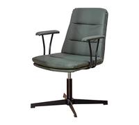 ZYSKABQ Silla de Oficina ergonómica de Malla con Soporte Lumbar y reposabrazos Silla de Escritorio Ajustable con Respaldo Medio para reuniones en casa y conferencias (Verde) Octopus Feet