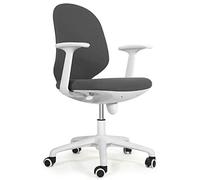 ZYSKABQ Silla ergonómica para Juegos de Oficina con reposacabezas Giratorio Ajustable y Soporte Lumbar, Ideal para el hogar, Oficina, Trabajo, Estudio o Juegos, Color Plateado Octopus Feet