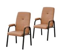 ZYSKABQ Sillas de Oficina de Cuero ergonómicas con PU con reposabrazos para la barbería del Banco del Hospital de Airport Clinic Hospital (Conjunto de 2 Grises) Octopus Feet
