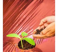 ZYWUOY Película de mantillo rojo, cubierta de polietileno para cultivo de patatas, tomates y fresas, plástico reflectante para acelerar la cosecha y bloquear las malas hierbas