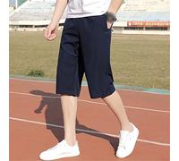 ZYYZDM Breathable Men's Quick Drying Loose Summer Thin Ice Silk Elastic Waist Casual Blue Shorts