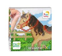 ZYZYZK Pixel PX44016 - Kit de 12 x 12 cm.