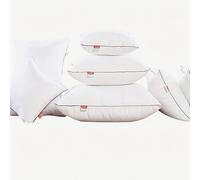 ZZDZW Relleno De Almohada 50x70,45x45,55x75,50x50,60x60,45x65, 80x80 Relleno De Cojines De Algodón PP Grande Rectangular Cuadrado Cushion Filling con Cremallera Relleno De Cojín(35x55cm 1pc)