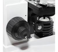 ZZGXWM XP200 Microscopio binocular trinocular - 40X-1600X Microscopio educativo de laboratorio de ciencias para con soporte de teléfono 12.5X (binocular)