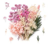 ZZHBOO A Set of Dried Flower Materials for DIY Crafts, Pressed Flowers, Flower Arrangement, Home Decor, Wall Art, Dreamy Pink