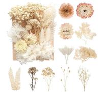 ZZHBOO : un spécimen de fleurs séchées à base de plantes naturelles, idéal pour le bricolage, les cadres, les bougies parfumées et la décoration d'intérieur, disponible en blanc et en rouge
