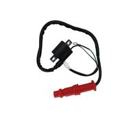 ZZQKSP Bobina de encendido de 500 cc para Polaris 500 STELS 500GT para Sportsman 500cc ATV Quad Parts