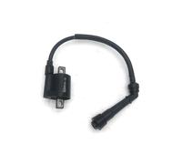 ZZQKSP Bobina de encendido JS400 para Jianshe para Roketa 400 400 cc para Mountain para Lion ATV F3-D10000-0