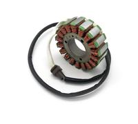 ZZQKSP Imán de estator de encendido para Hisun HS800 800cc ATV UTV Generador P010000311200000