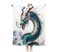 ZZXHG Manta para Sofá 240 x 260 NiñO DragóN Animado, Manta para Cama 180 de Franela, Manta Polar 100% Microfibra Extra Suave, Mantitas Cubre Sofá para Niños y Adultos, Hogar Oficina Viaje_A552
