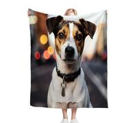 ZZXHG Mantas para Cama 105-180x220 Jack Russell Terrier, Manta para Sofá de Franela Cálida y Cómoda para Niños y Adultos, Mantitas Polar para Cubre Sofa Perro Mascota Habitacion Dormitorio_529a