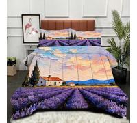 ZZXHG Nórdico Extra Grande Lavanda Pintura Al óLeo, Edredón Todo el Año, Muy Cálido y Ligero, Incluye 2 Fundas de Almohada, para Habitaciones Amplias, 220x240_A2399