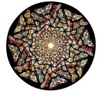 ZZYGGN GMGSW Cada vez más pequeño de M.C Escher Pintura en lienzo Impresiones vintage de mariposa mural Póster de M.C Escher para decoración del hogar 50x50cmx1 sin marco